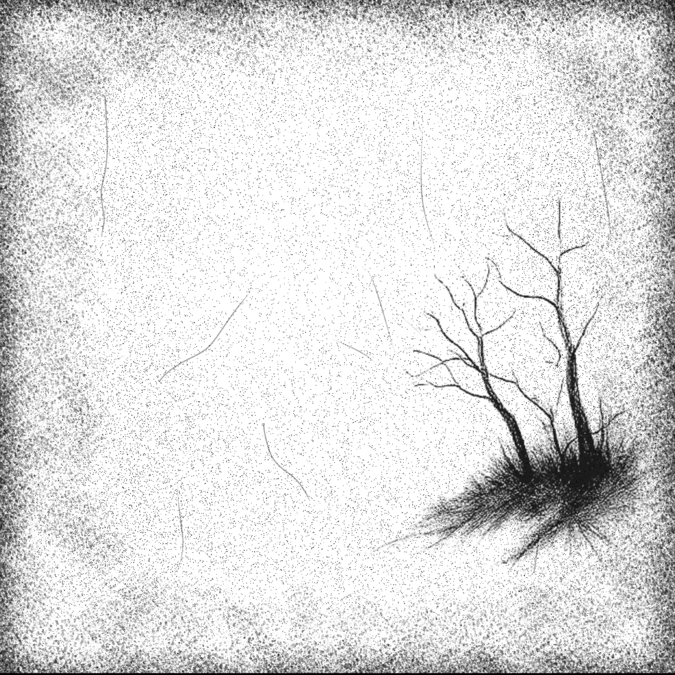 Dissispate Album cover